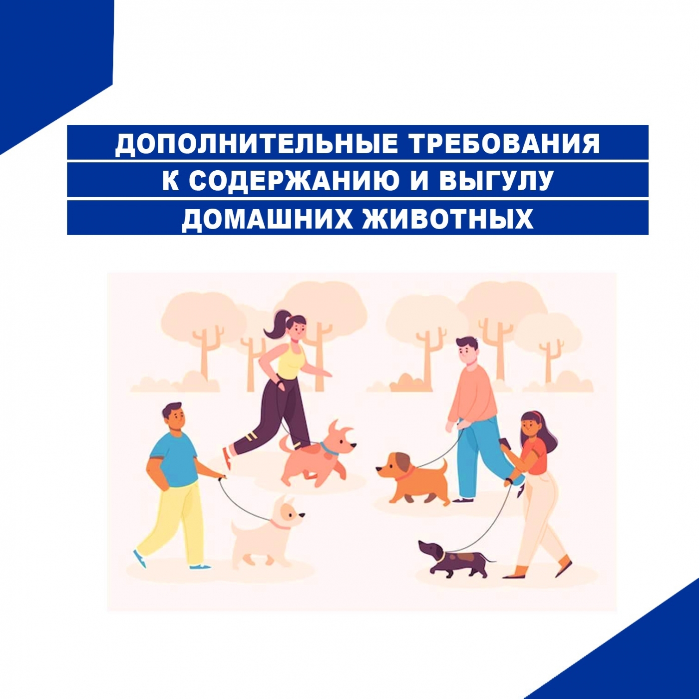 Об установлении дополнительных требований к содержанию домашних животных, в том числе к их выгулу, на территории Томской области.